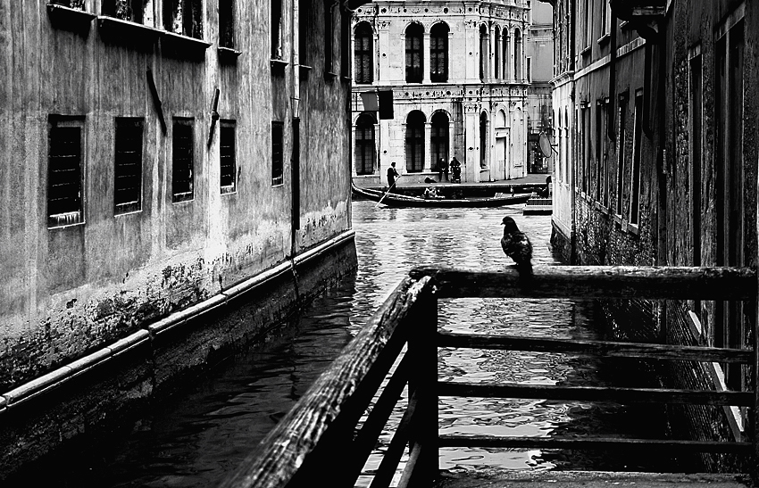 L'altra Venezia: punti di vista