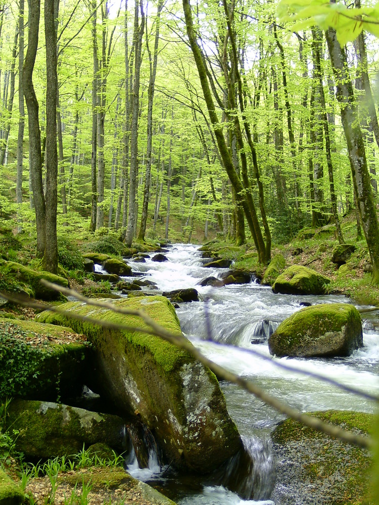 l'alzeau