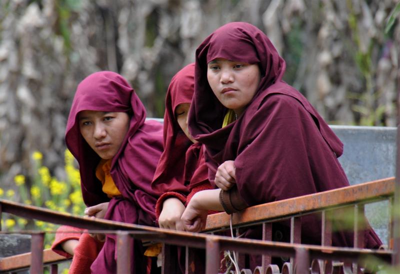 Lama Girls at Khechoperi Lake Monastrey