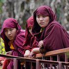 Lama Girls at Khechoperi Lake Monastrey