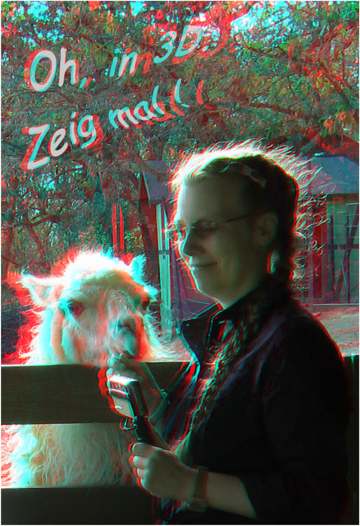 Lama und Fotografin in 3D