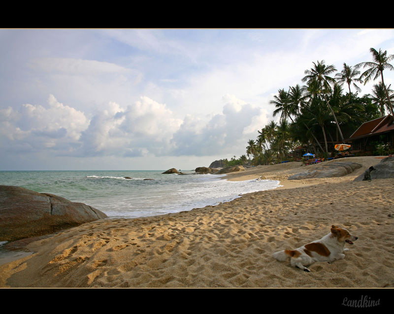 Lamai Beach !