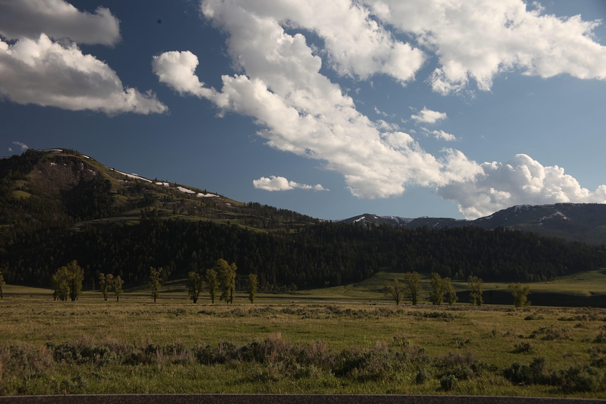 Lamar Valley