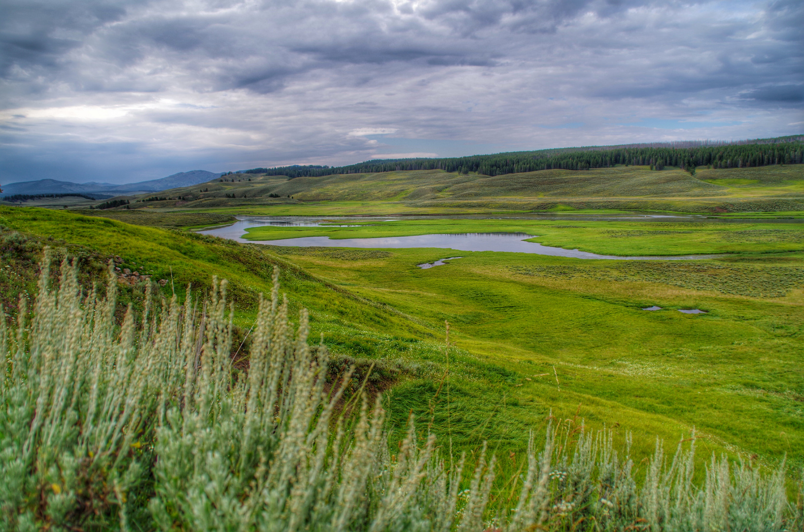 Lamar Valley