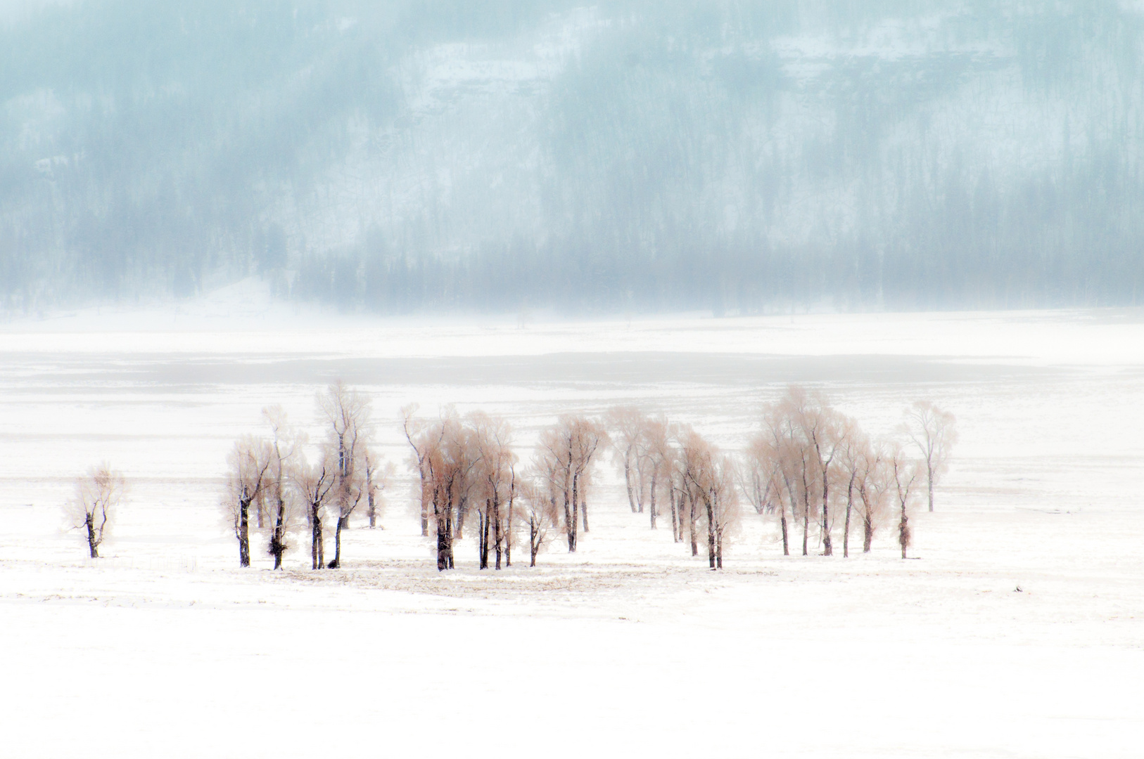 Lamar Valley