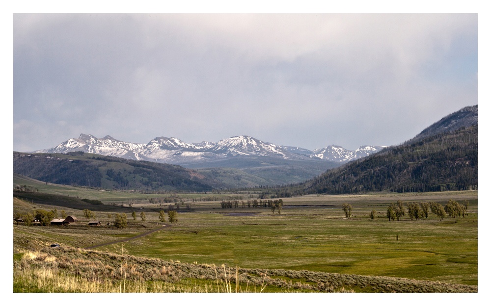 Lamar Valley