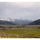 Lamar Valley