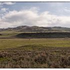 Lamar Valley