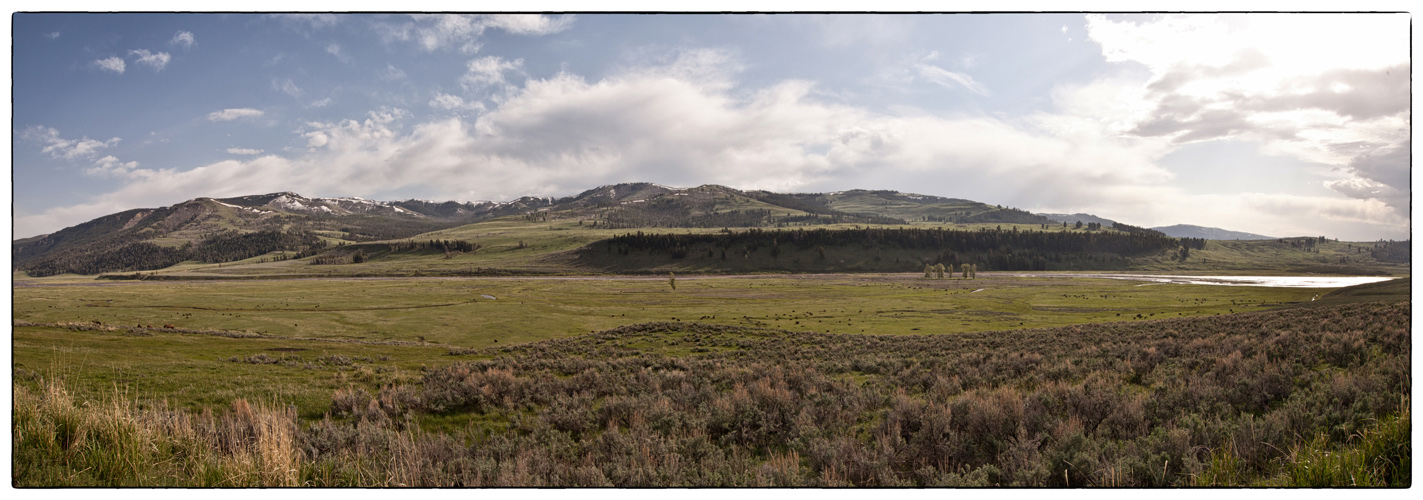 Lamar Valley