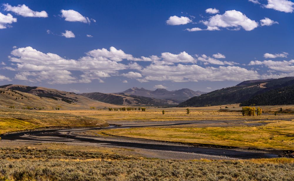 Lamar Valley, Lamar River, Wyoming, USA