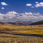 Lamar Valley, Lamar River, Wyoming, USA