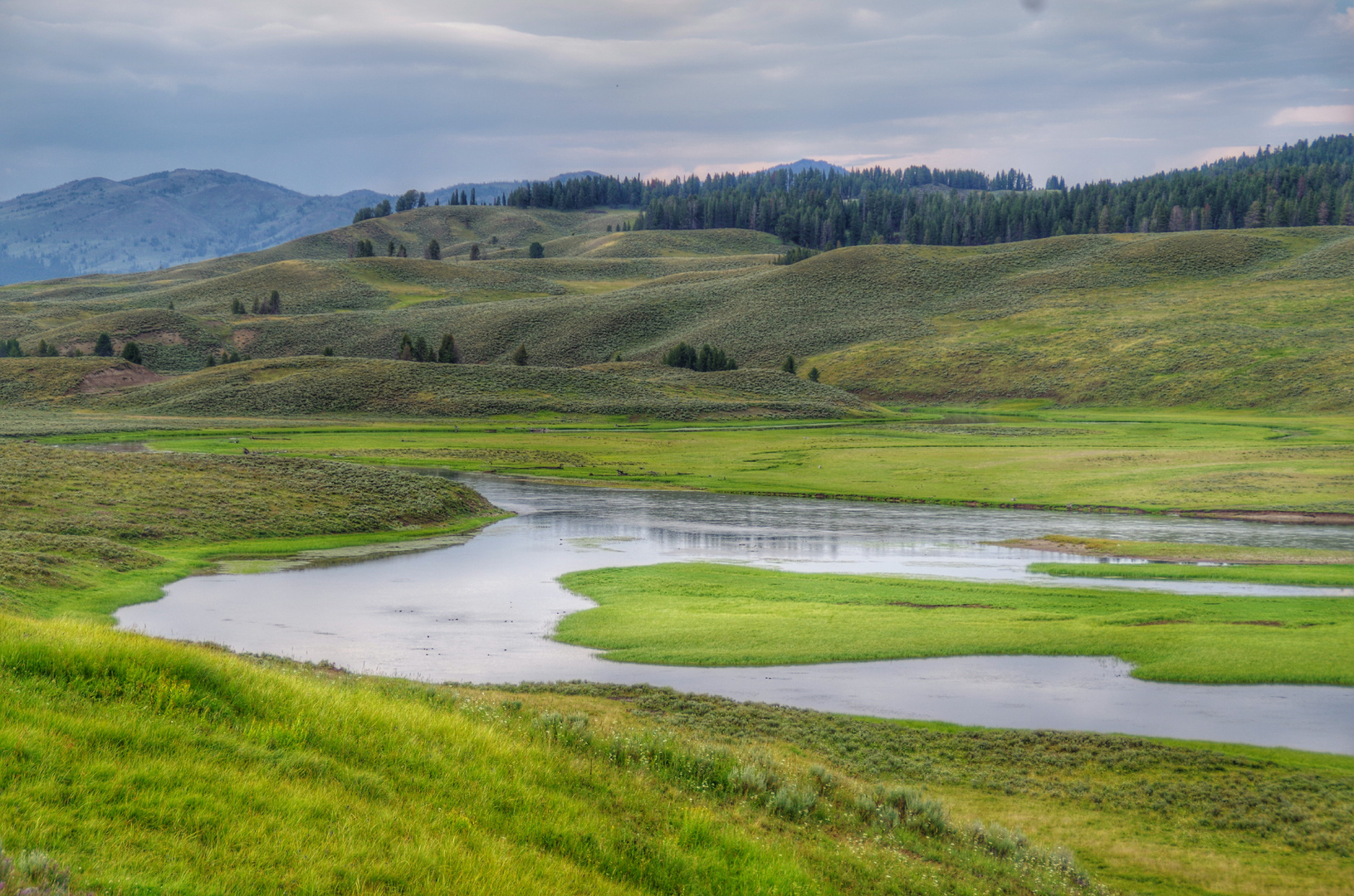 Lamar Valley mal ohne Büffel