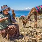 Lamawolle spinnen auf der Isla del Sol, Bolivien