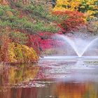 L’ambiance de l’automne