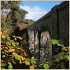 Lambley Viaduct 5