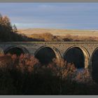 Lambley viaduct 9Ab