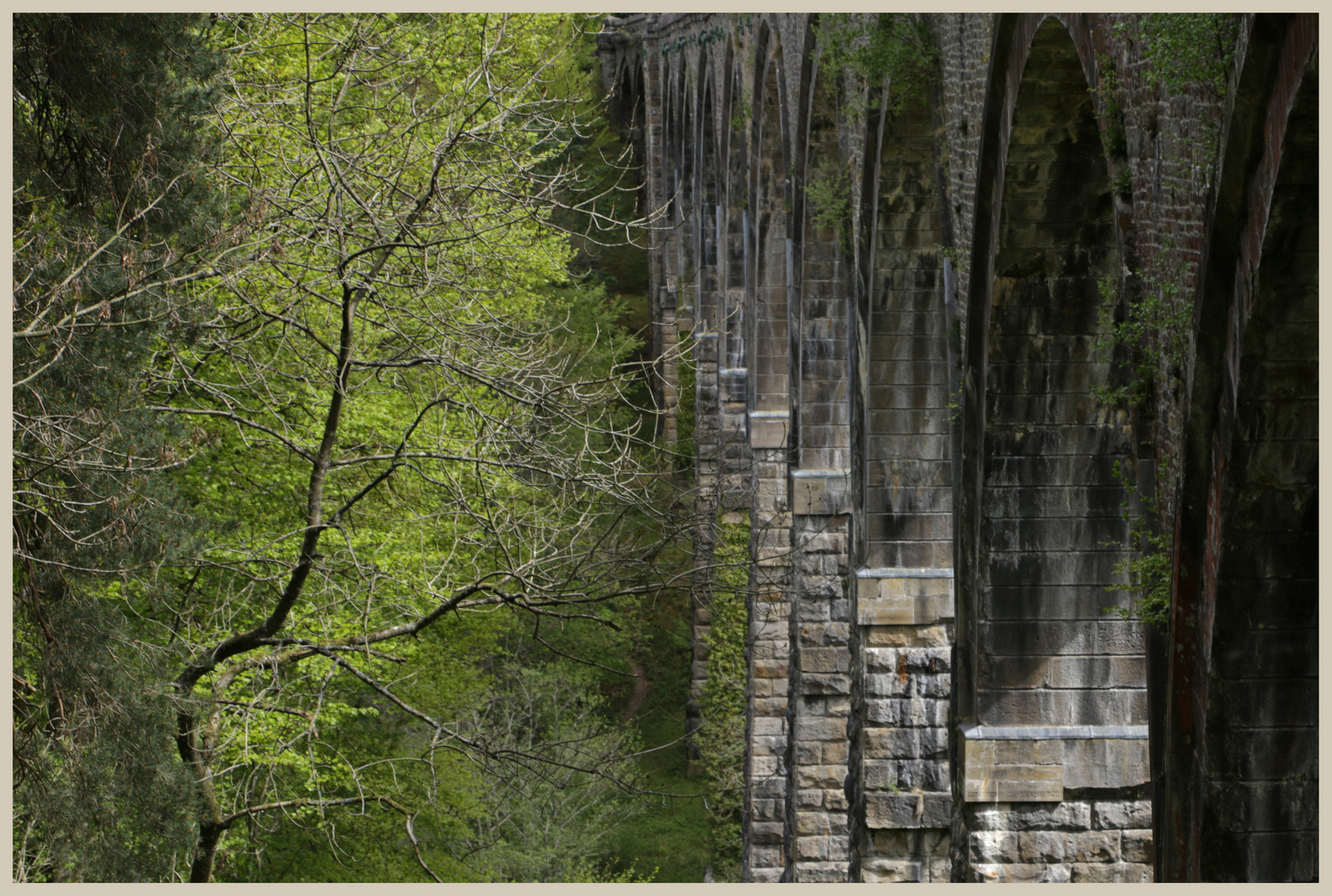 Lambley Viaduct