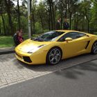 LAMBO in Holland auf der Autobahn