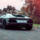 Lamborghini Aventador #3