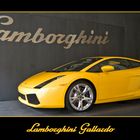 Lamborghini Gallardo