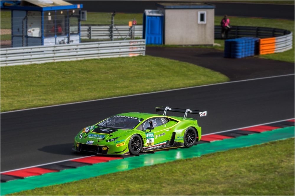 Lamborghini-Stier oder Laubfrosch?