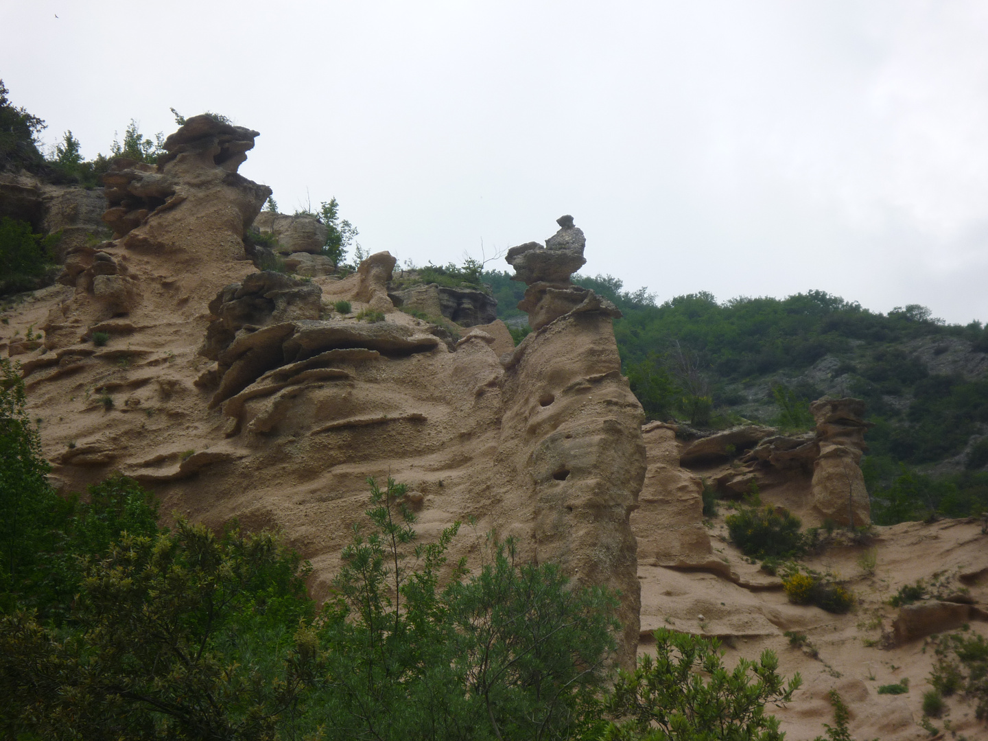 Lame Rosse