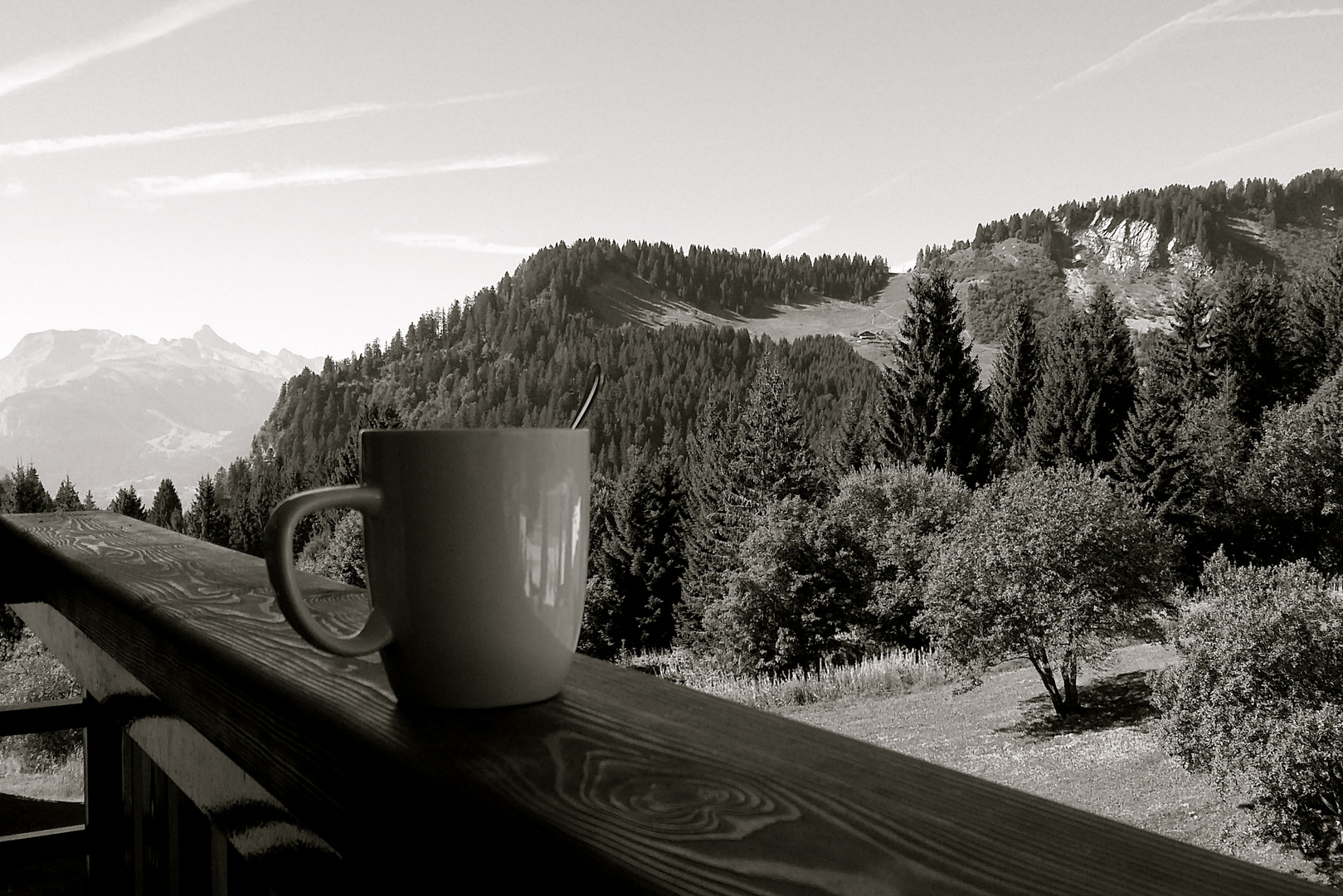 L'ami du petit déjeuner