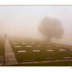 L'amico al cimitero...2