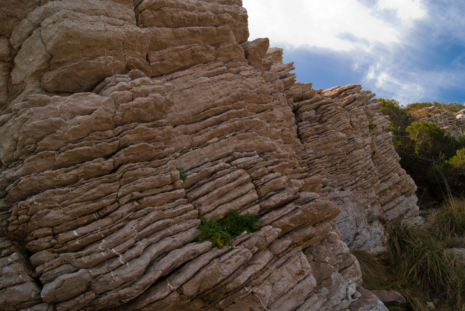 laminas de caliza(cap vermey)