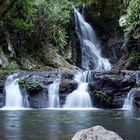 Lamington National Park