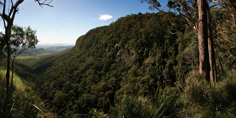 Lamington NP