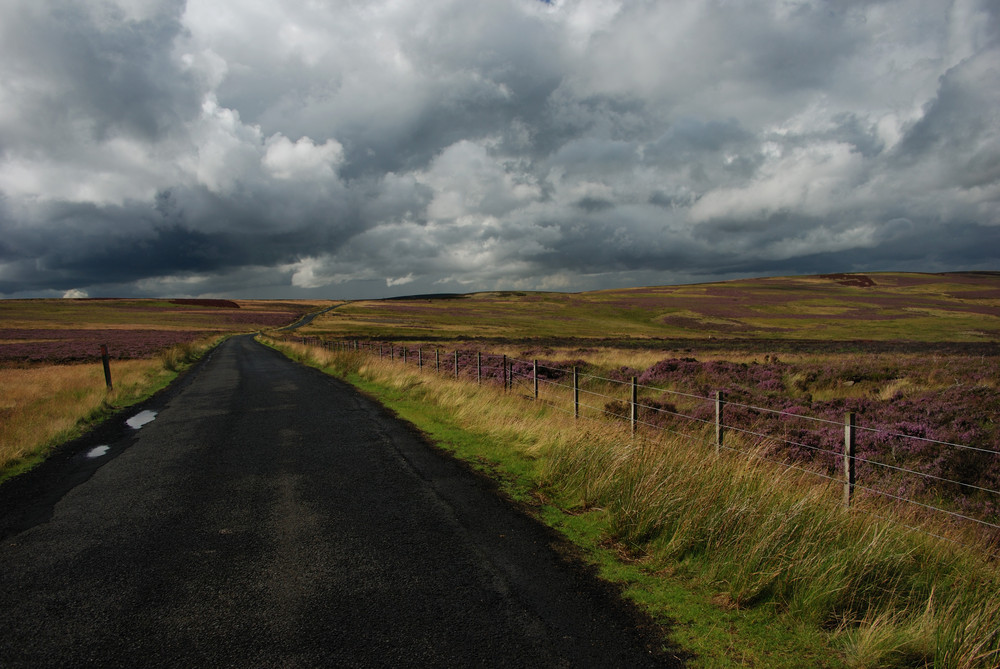 Lammermuir Hills, East Lothian