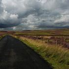 Lammermuir Hills, East Lothian