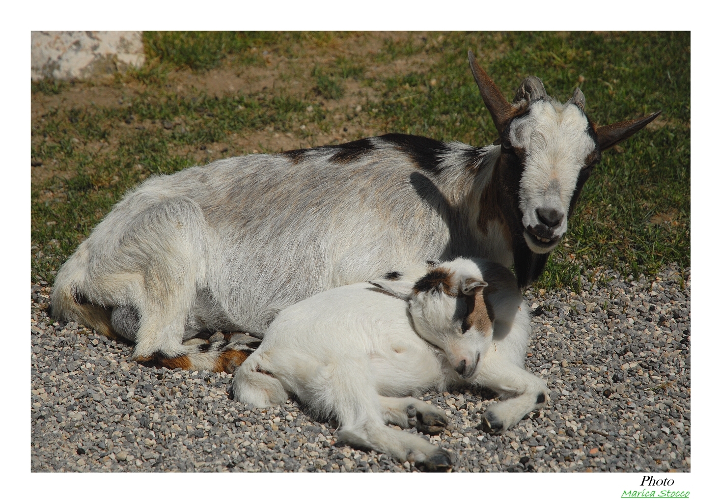 -- L'amore della mamma --