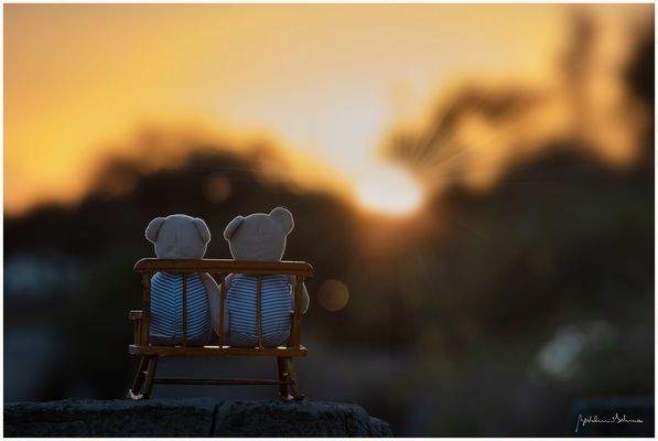 L'amore è semplice.