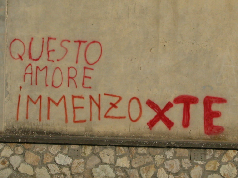 L'amore è valido anche se la grammatica .........