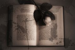 L'amore per la lettura