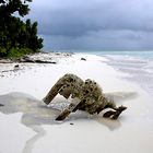 L'amour à la plage