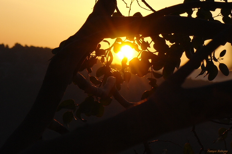 "L'amour dans l'oeil du soleil Levant" - exercice photographique n°118 - les contre-jours