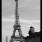 L'amour d'Eiffel