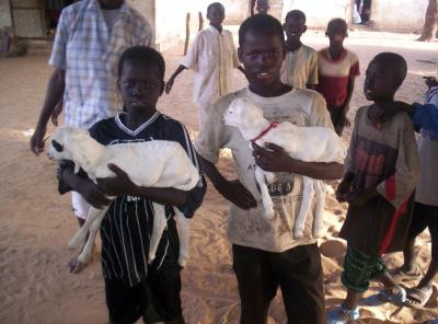 l'amour des enfants africain pour les animaux domestique
