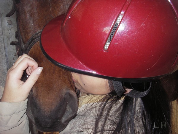 L'amour d'un cheval