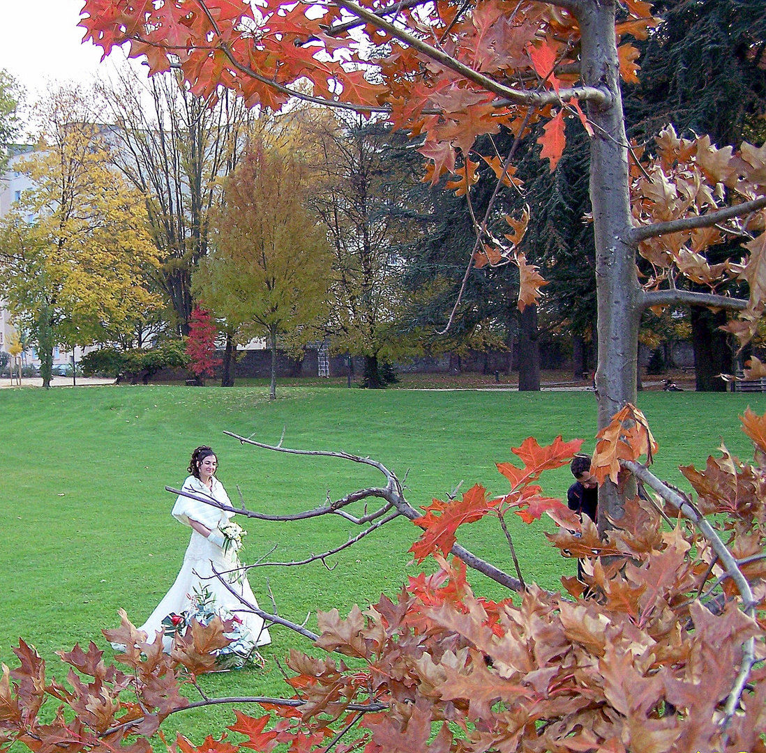 L'Amour est dans le Parc .....