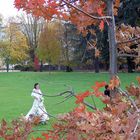 L'Amour est dans le Parc .....