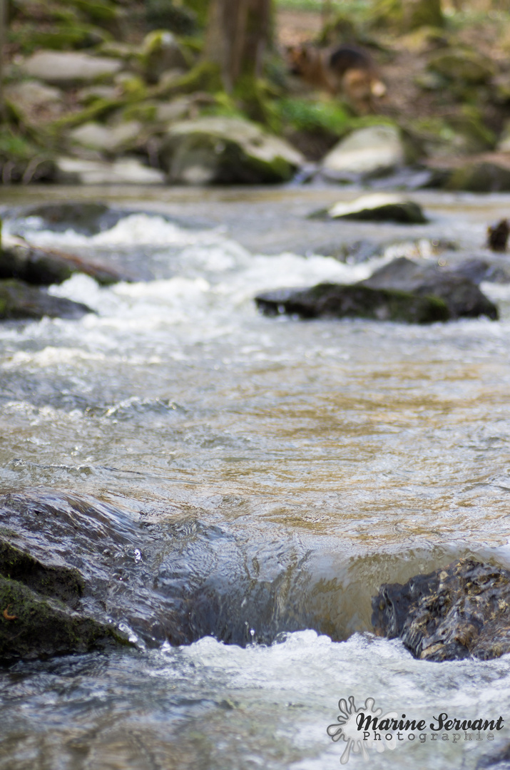 « L’amour est un fleuve où les eaux de deux rivières se mêlent sans se confondre. »