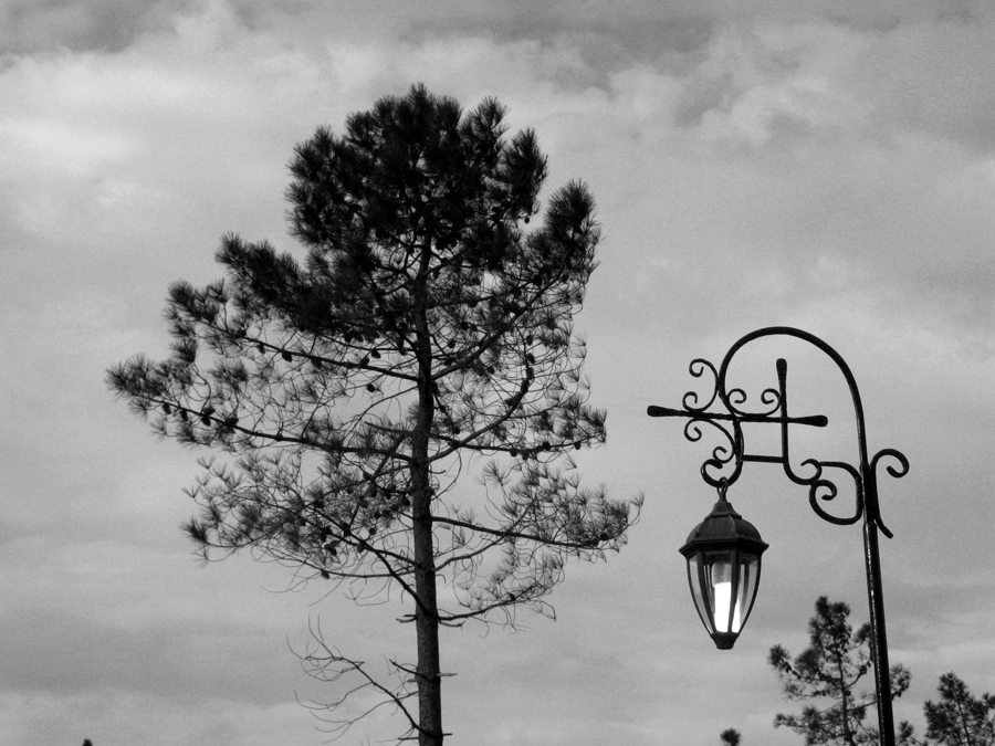 lamp posts