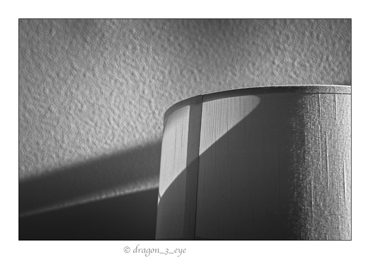 Lamp Shade One 2