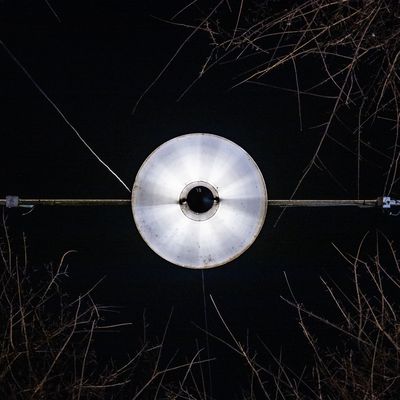 Lampe zwischen Bäumen