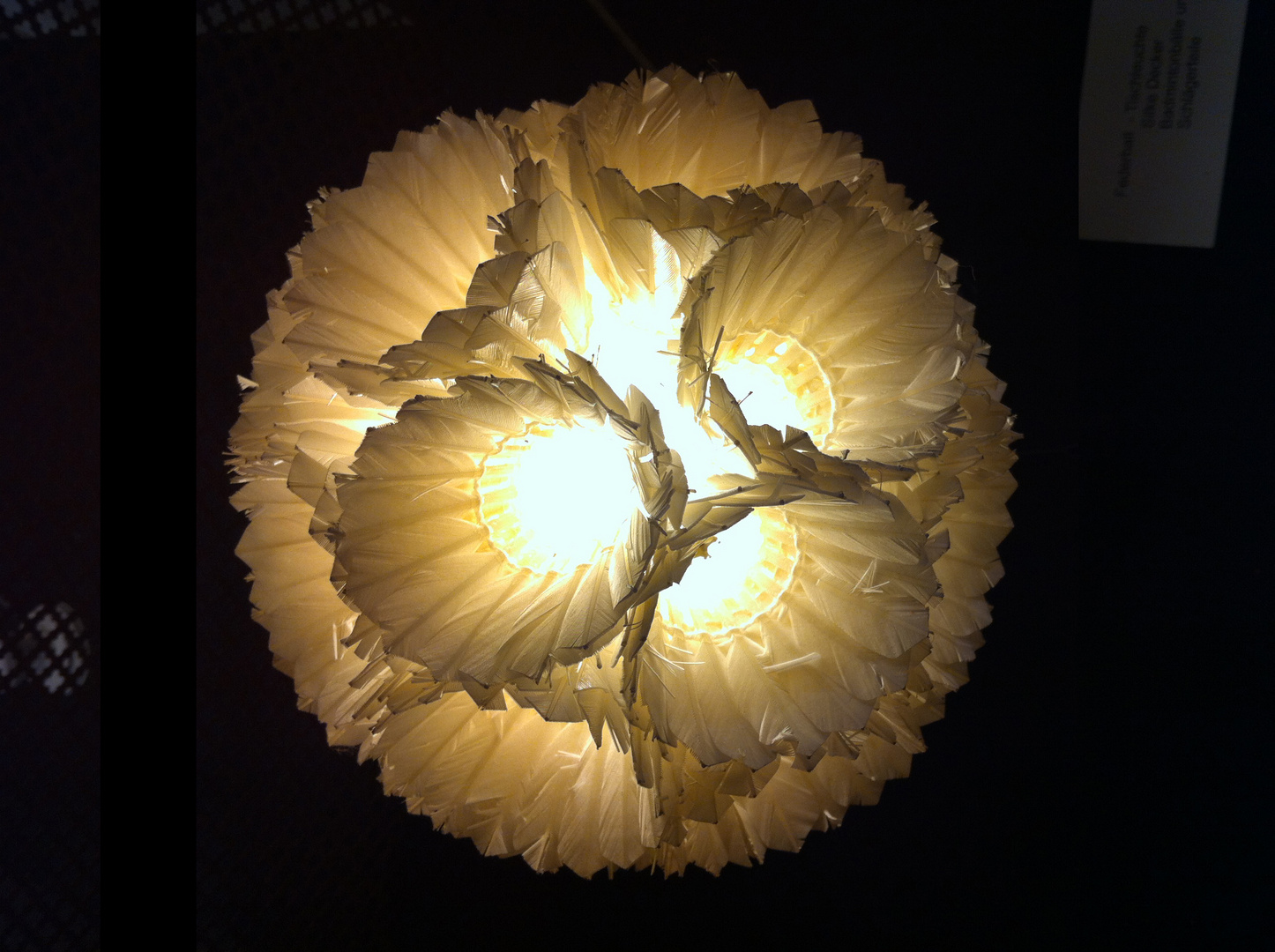 Lampe_6