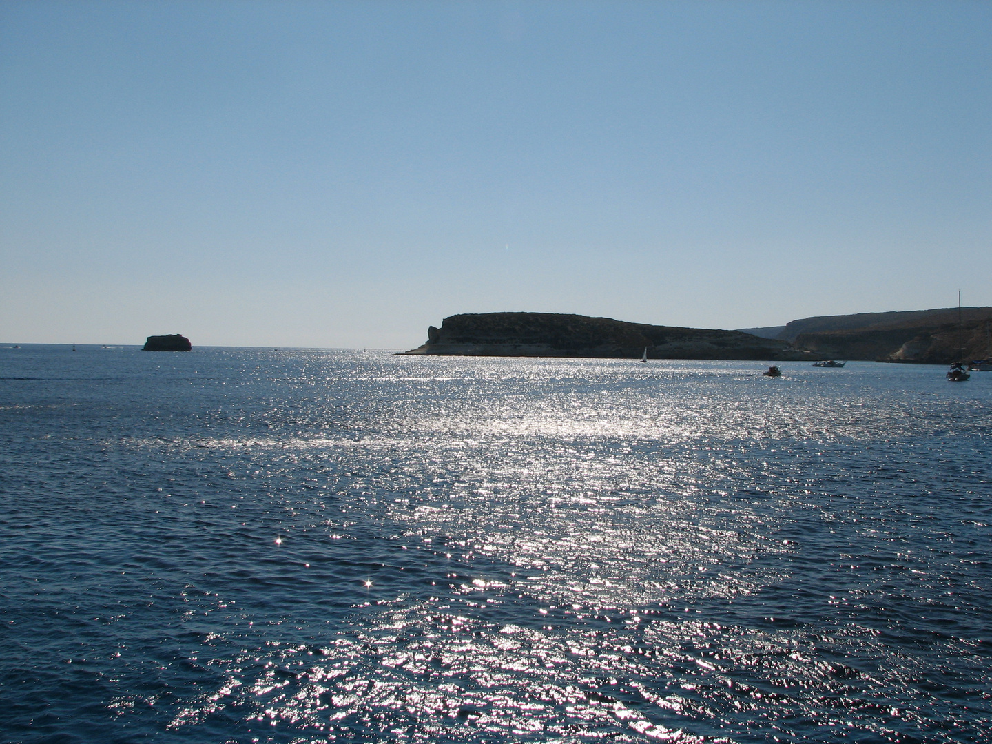 Lampedusa : isola dei conigli